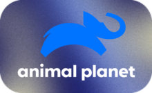 CA ▎ANIMAL PLANET HD