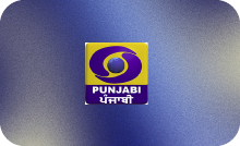 PUNJABI ▎DD PUNJABI