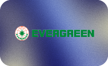 HINDI ▎EVERGREEN CLASSIC