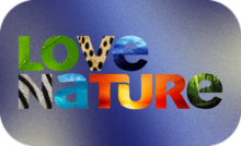 BG ▎LOVE NATURE HD