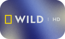 UK ▎NAT GEO WILD HD