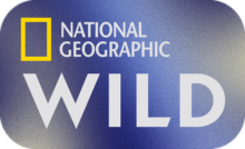 CA ▎NATIONAL GEOGRAPHIC WILD HD