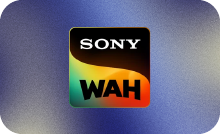 HINDI ▎SONY WAH